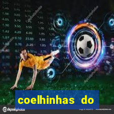 coelhinhas do brasil acompanhantes