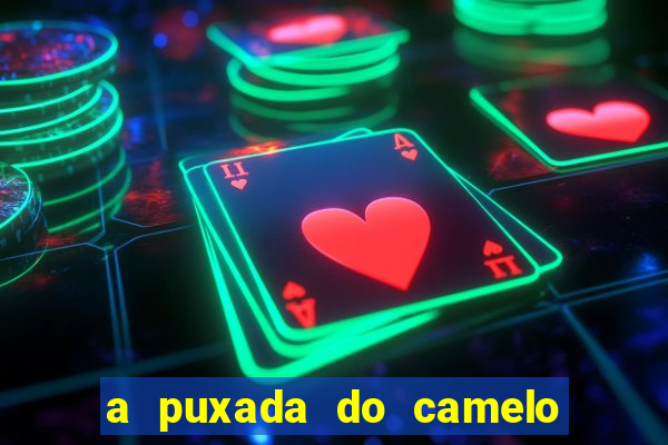 a puxada do camelo no jogo do bicho