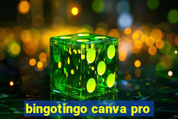 bingotingo canva pro