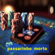 passarinho morto significado espiritual