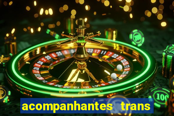 acompanhantes trans baixada fluminense