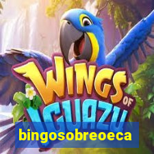 bingosobreoeca