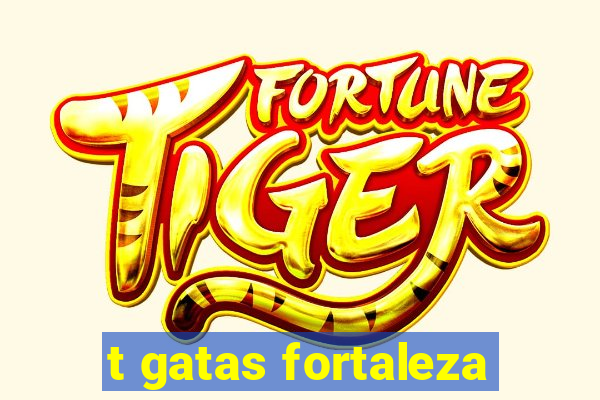 t gatas fortaleza