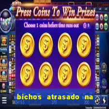 bichos atrasado na loteria dos sonhos