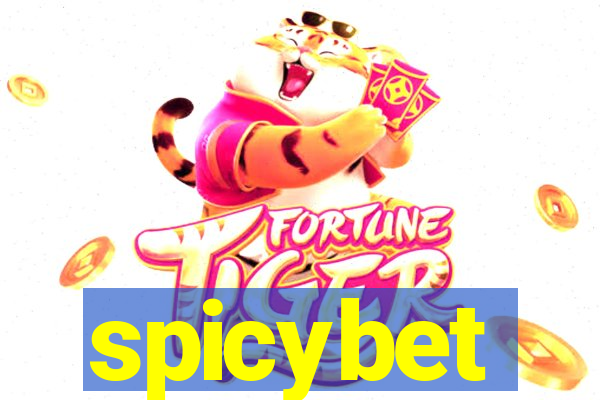 spicybet-3.com